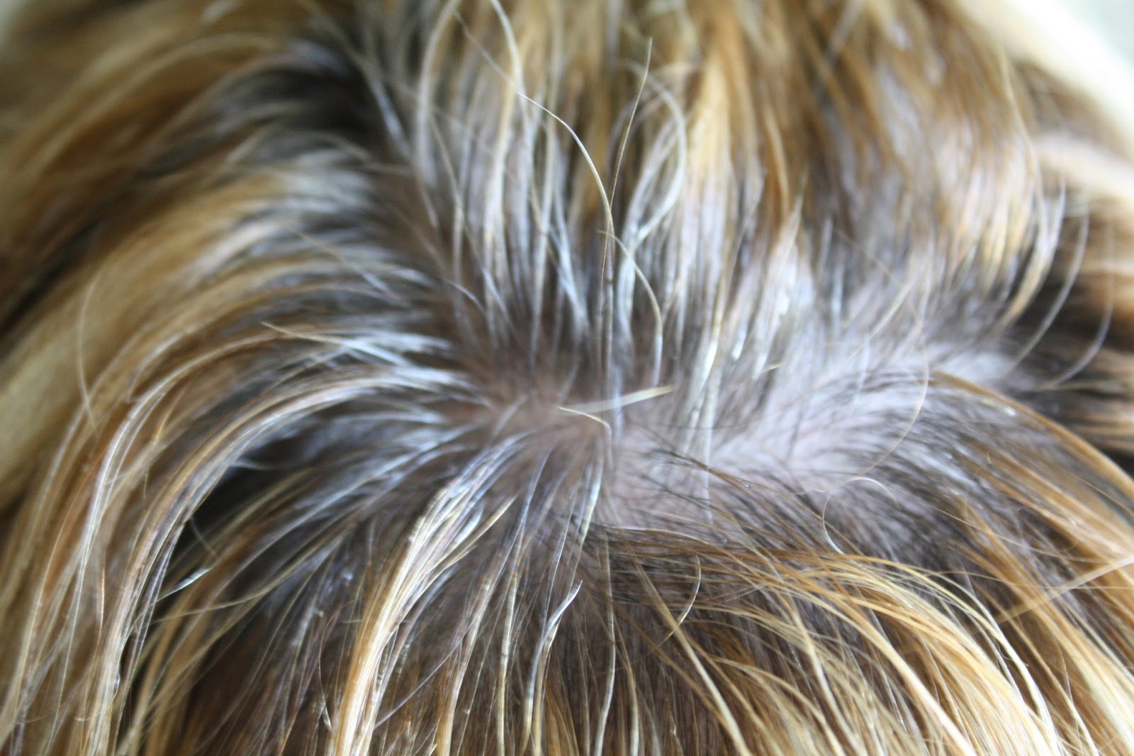 Sunny Simple Life How to Cover Your Grey Roots Between Colorings